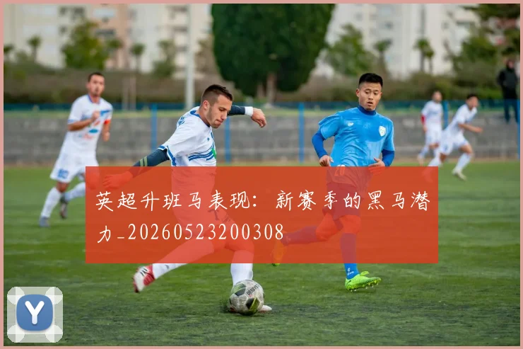 英超升班马表现：新赛季的黑马潜力_20260523200308