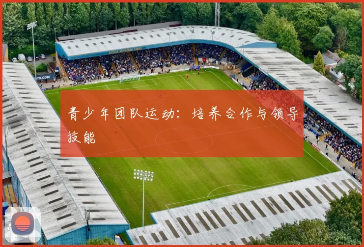 青少年团队运动：培养合作与领导技能