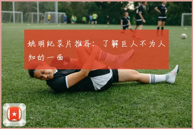 姚明纪录片推荐：了解巨人不为人知的一面