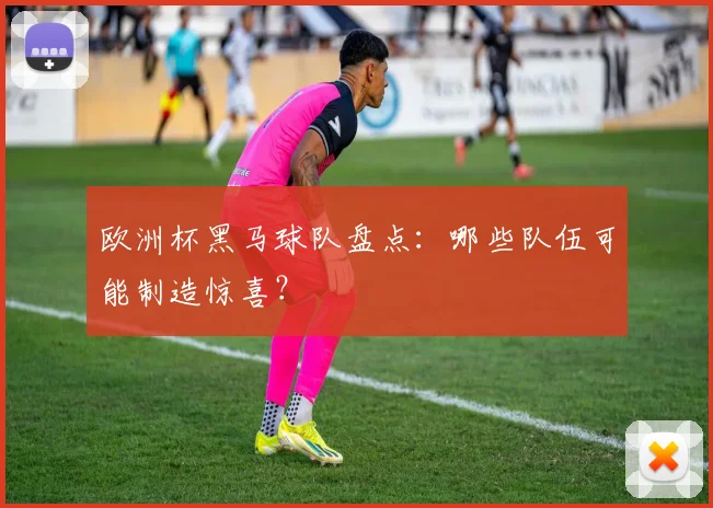 欧洲杯黑马球队盘点：哪些队伍可能制造惊喜？