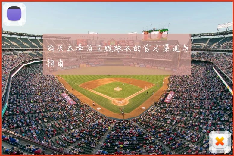 购买本泽马正版球衣的官方渠道与指南