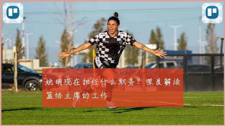 姚明现在担任什么职务？深度解读篮协主席的工作