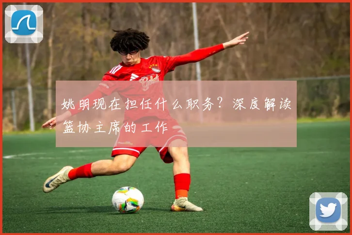 姚明现在担任什么职务？深度解读篮协主席的工作