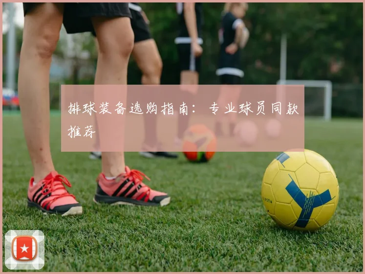 排球装备选购指南：专业球员同款推荐