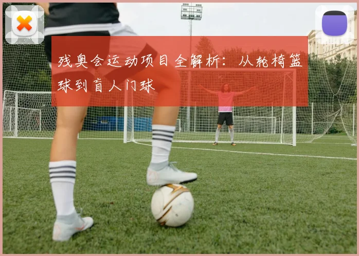 残奥会运动项目全解析：从轮椅篮球到盲人门球