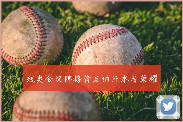 残奥会奖牌榜背后的汗水与荣耀